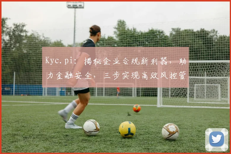 Kyc.pi：揭秘企业合规新利器，助力金融安全，三步实现高效风控管理，合规无忧，创新驱动未来。