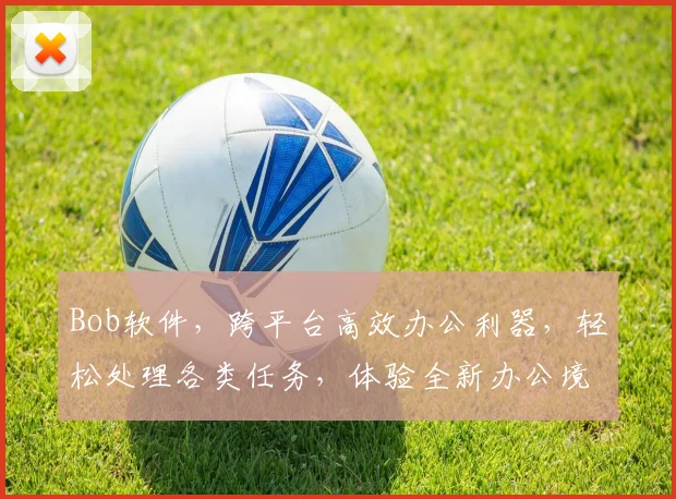 Bob软件，跨平台高效办公利器，轻松处理各类任务，体验全新办公境界，必看攻略