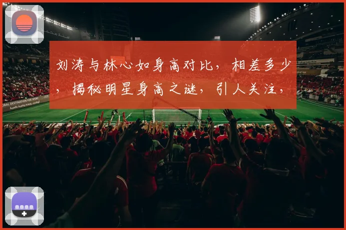 刘涛与林心如身高对比，相差多少，揭秘明星身高之谜，引人关注，三款对比方式大揭秘