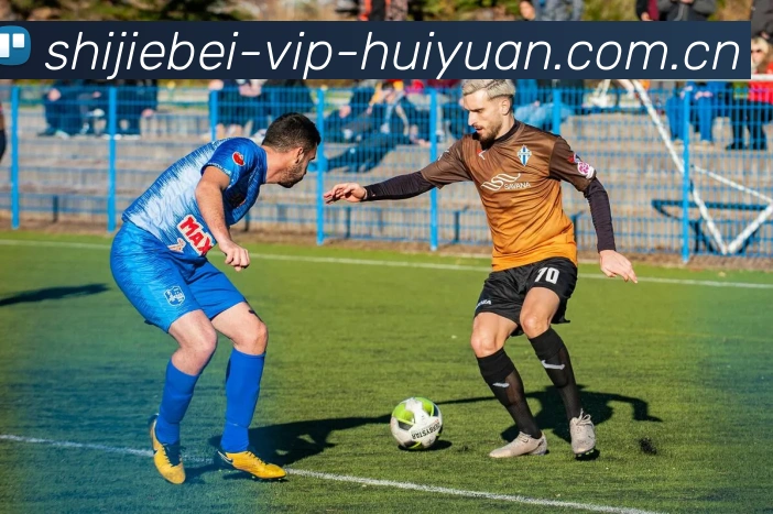 世界杯VIP会员服务体系