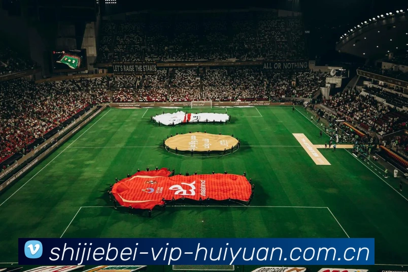 世界杯VIP会员APP 封面图